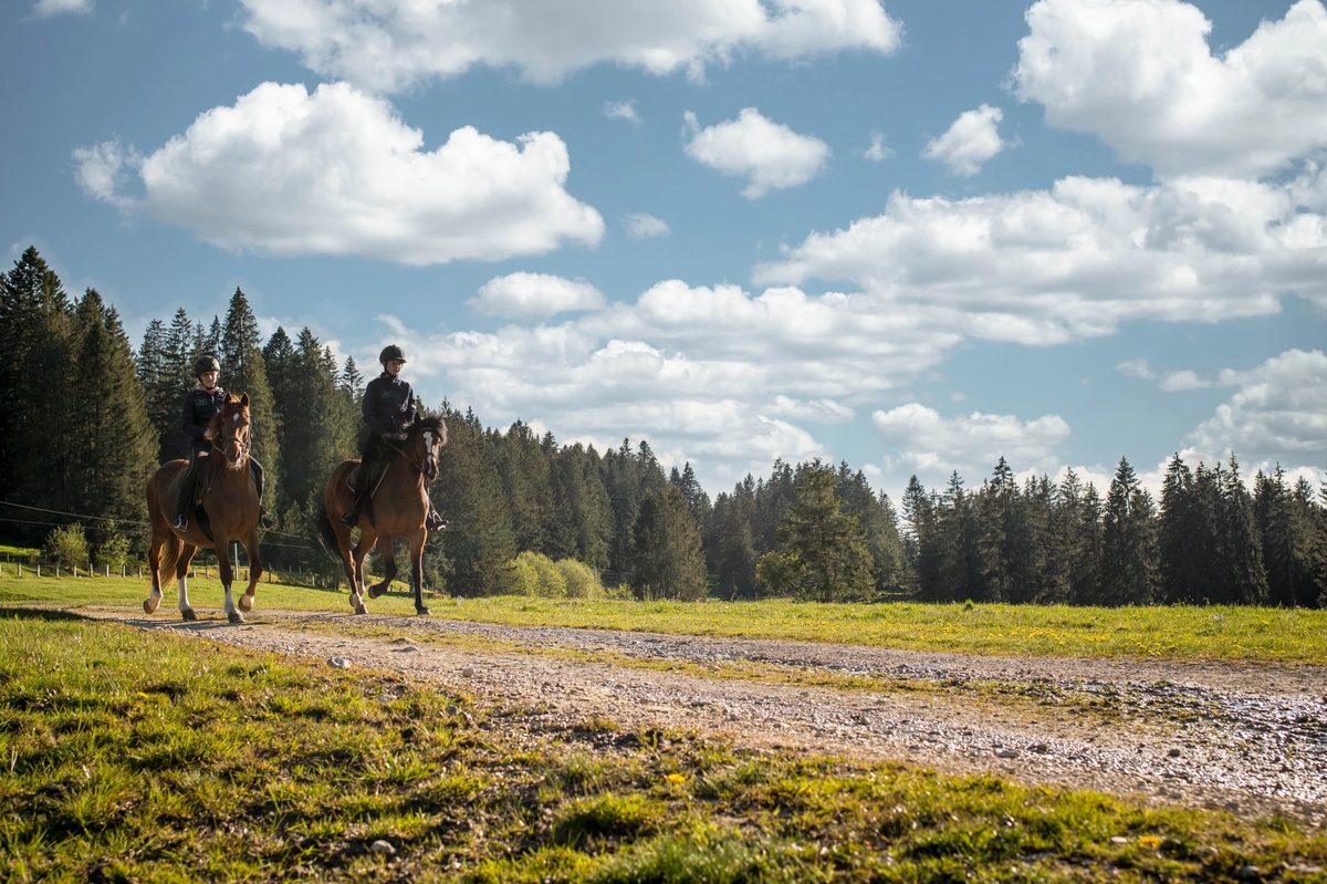 Randonnées & balades à cheval